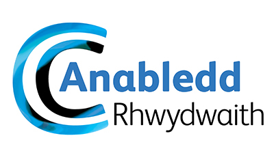 Anabledd Rhwydwaith