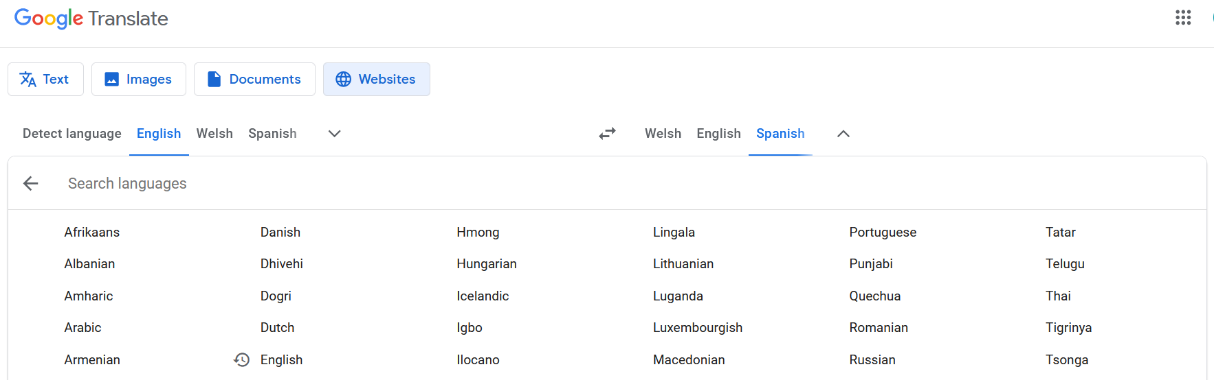 Google translation language option screen